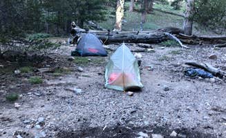 Brittany N.'s photo of tent camping at Dry Lake Backpacking Campground near Lucerne Valley, CA