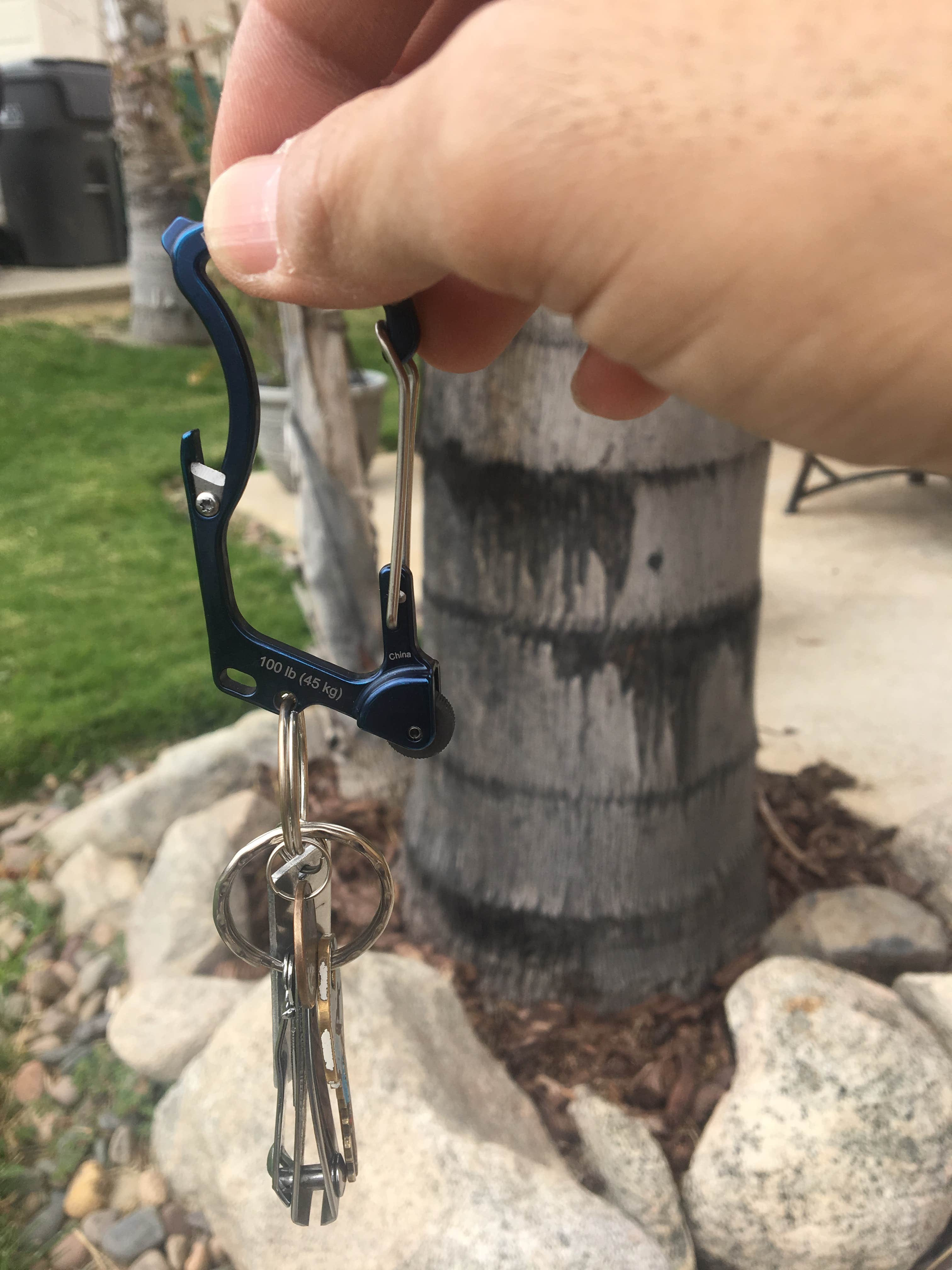 Camper-submitted photo at Dry Lake Backpacking Campground near Forest Falls, CA