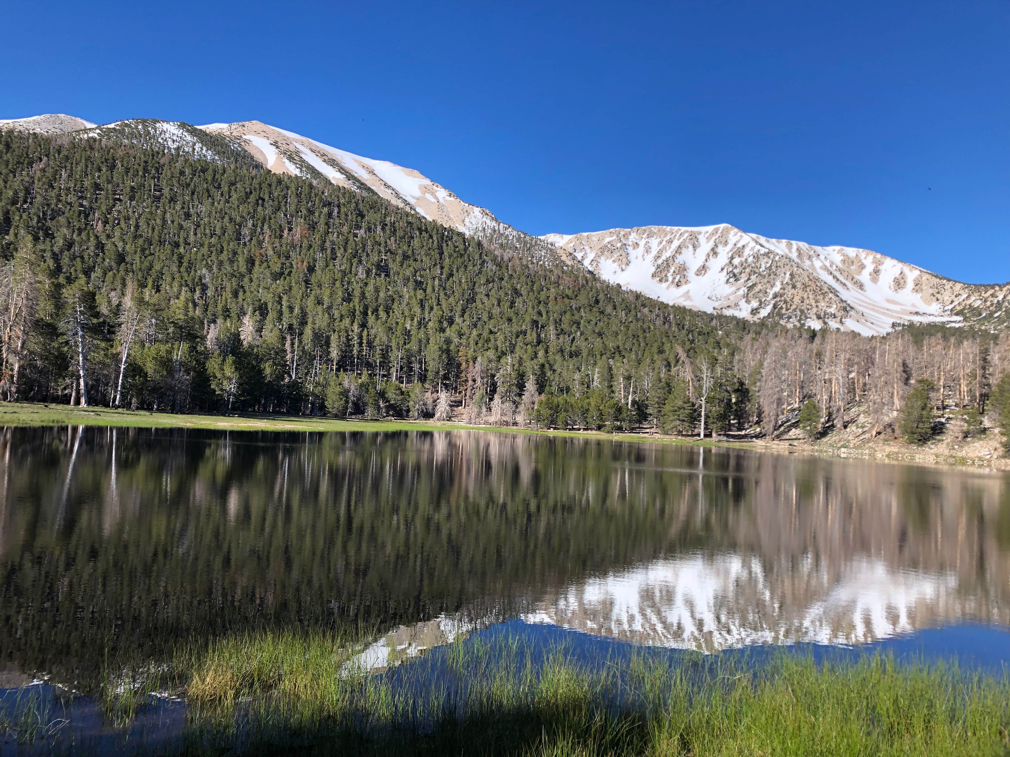 Camper submitted image from Dry Lake Backpacking Campground - 4