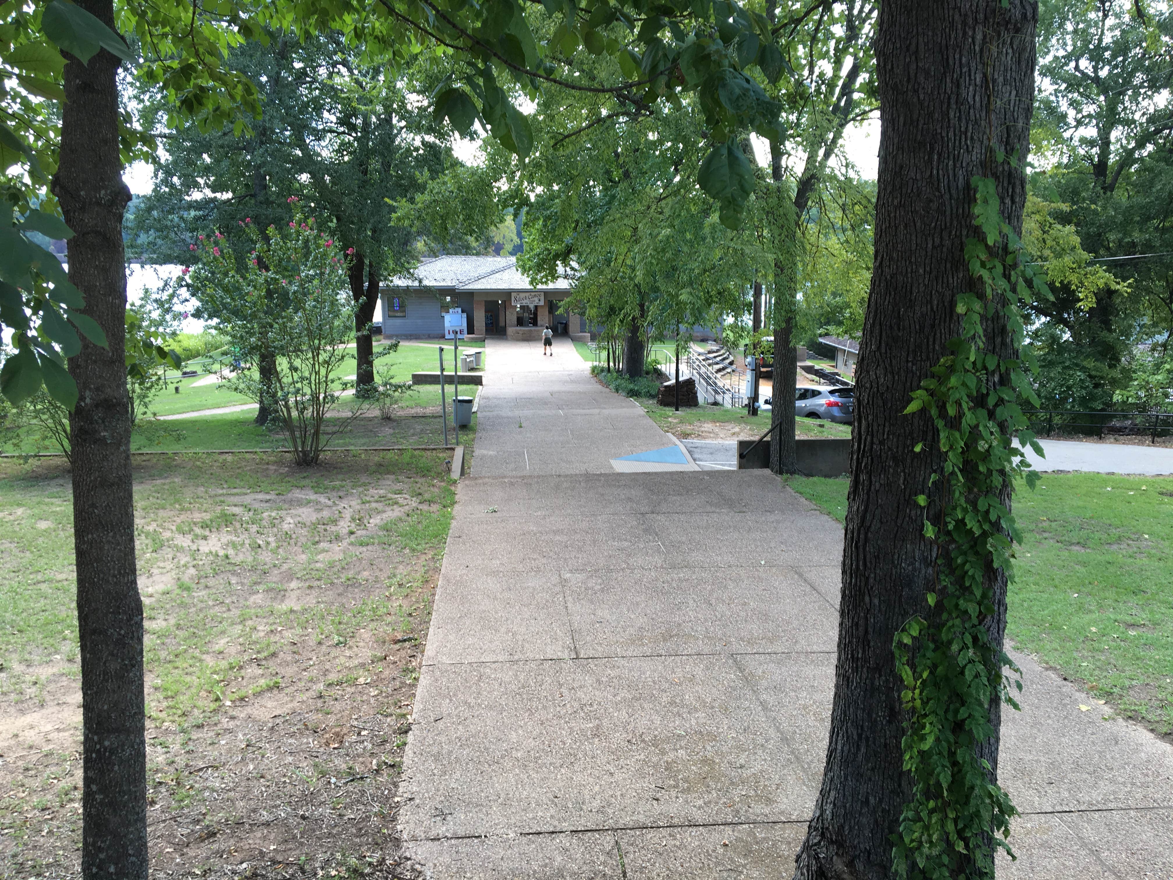 Camper submitted image from Tyler State Park Campground - 4