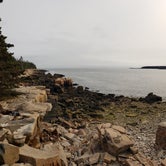 Review photo of Schoodic Woods Campground — Acadia National Park by Elliott M., June 24, 2019