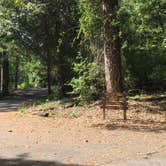 Review photo of Tyler State Park Campground by Shelly S., September 3, 2016