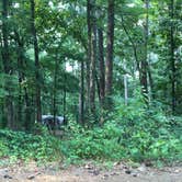 Review photo of Tyler State Park Campground by Shelly S., September 3, 2016