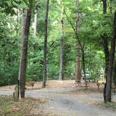 Review photo of Tyler State Park Campground by Shelly S., September 3, 2016