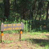 Review photo of Tyler State Park Campground by Shelly S., September 3, 2016