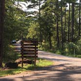 Review photo of Tyler State Park Campground by Shelly S., September 3, 2016