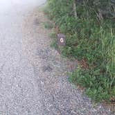 Review photo of McPhee Campground by Sarah S., August 31, 2015
