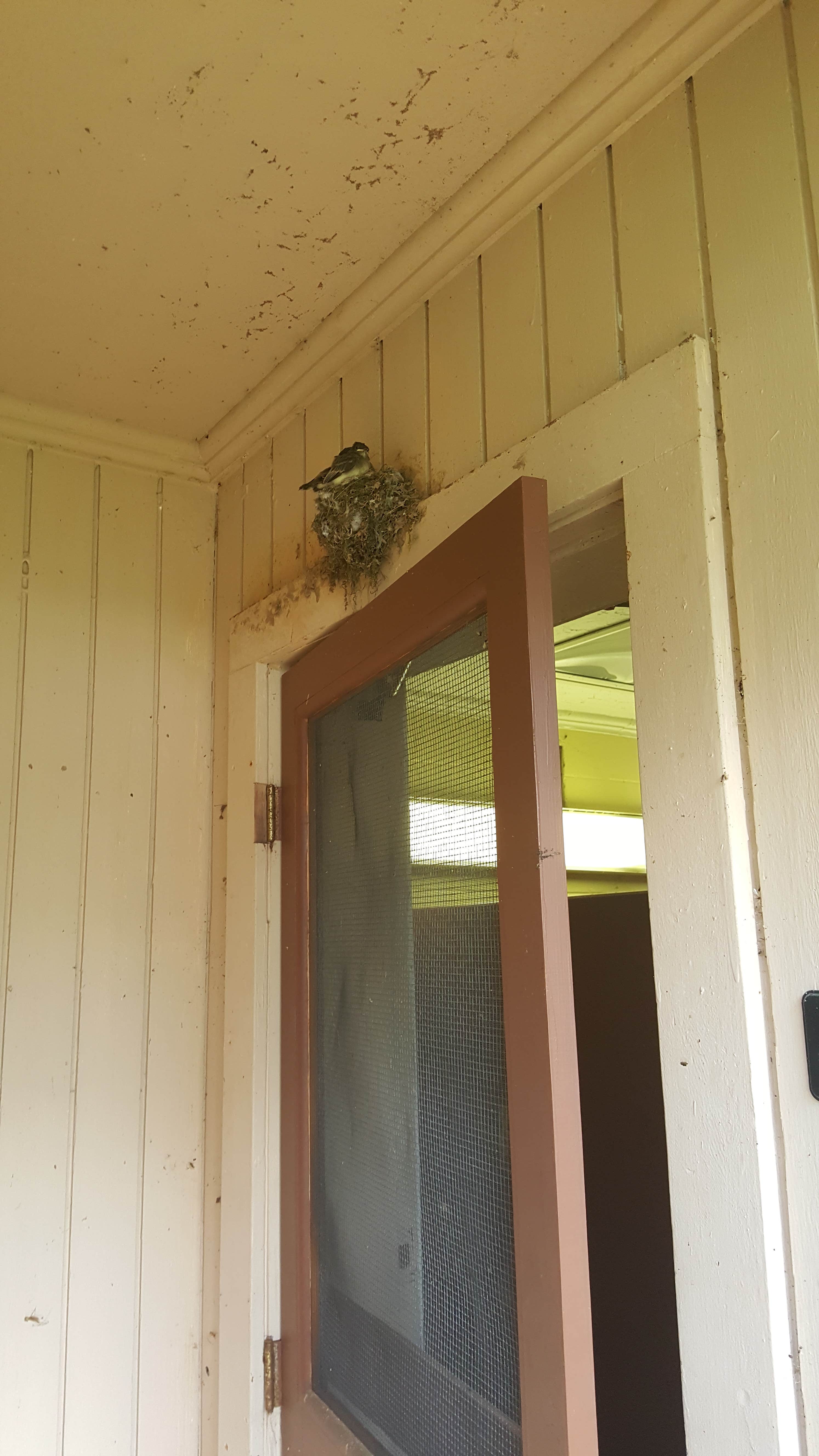 Camper-submitted photo at Natural Chimneys Regional Park near Harrisonburg, VA