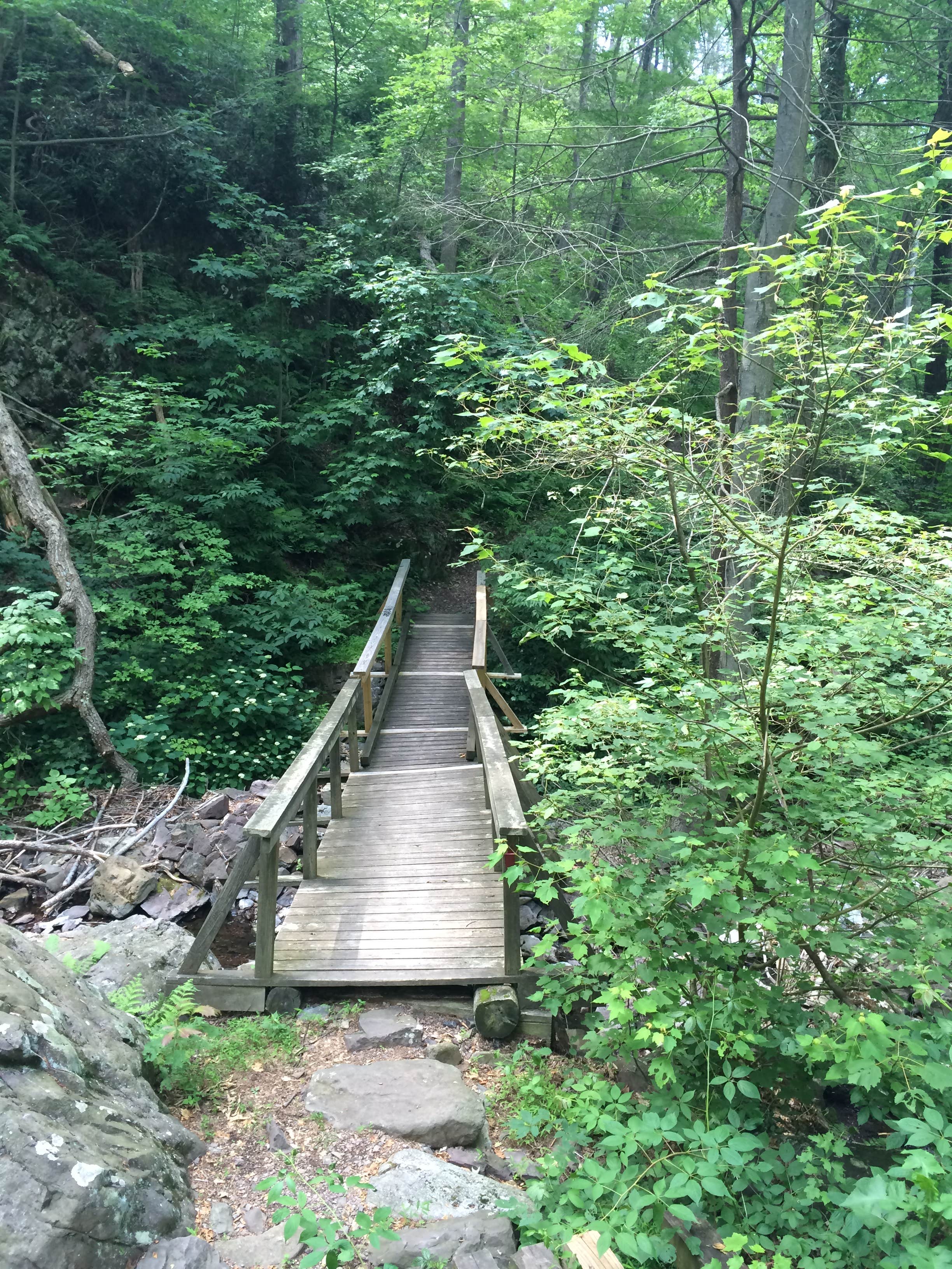 Camper submitted image from Camp Mohican Outdoor Center — Delaware Water Gap National Recreation Area - 4