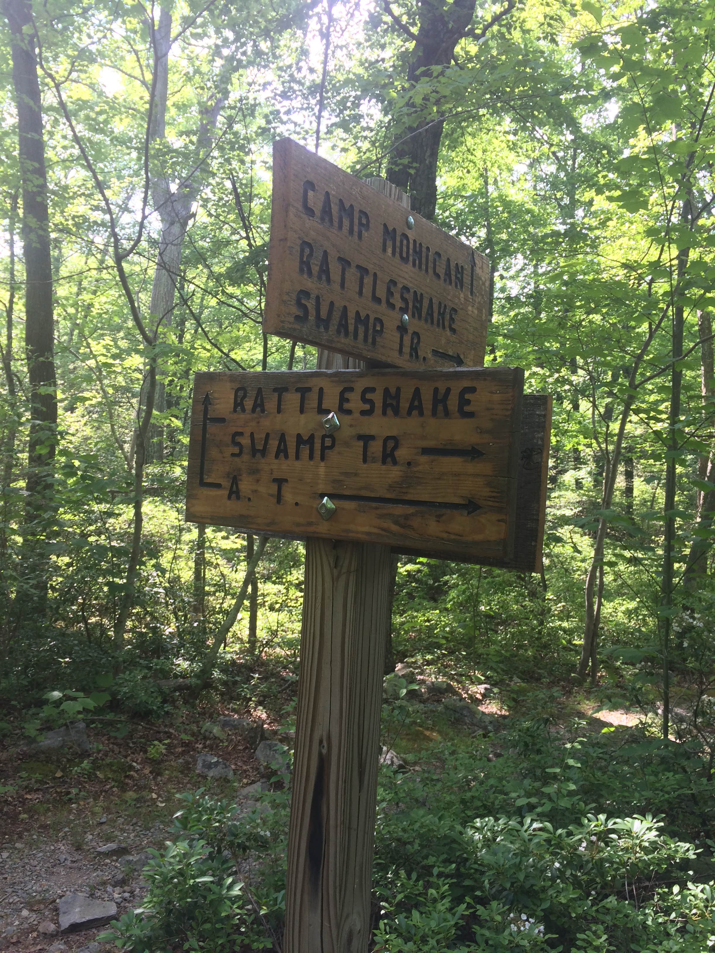 The Orange Trail. On the way to the Fire Tower.