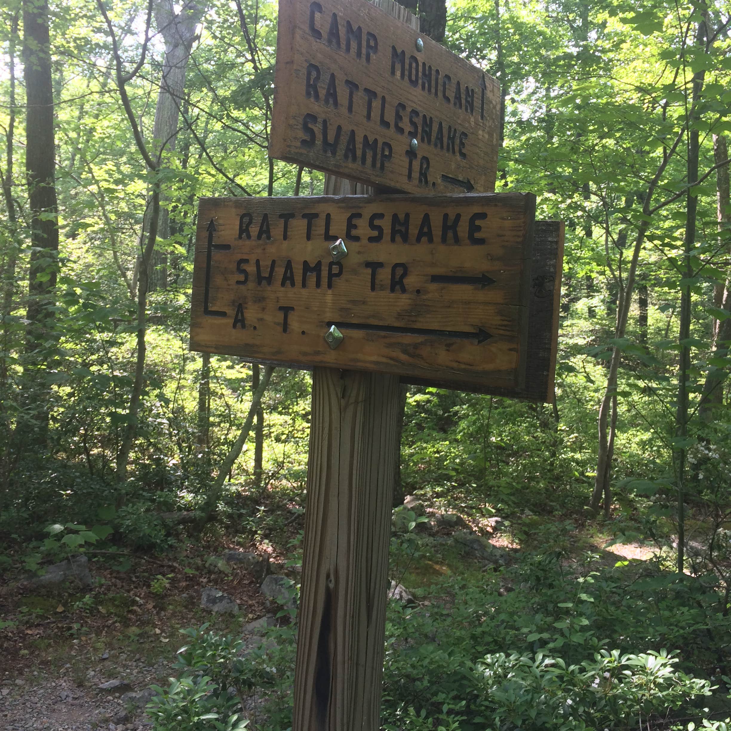 Mohican Outdoor Center Nj