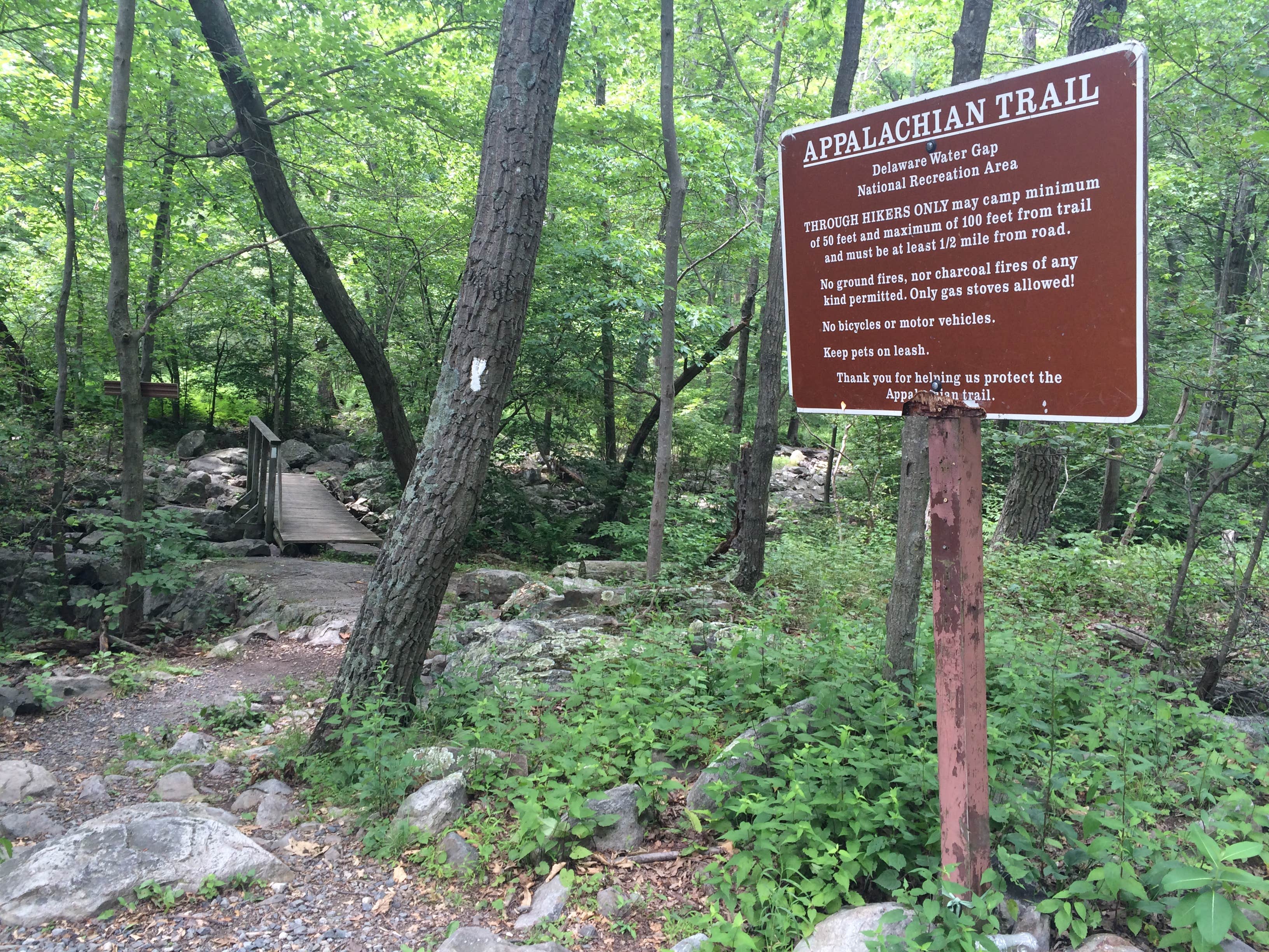 The AT crossing Camp Rd.