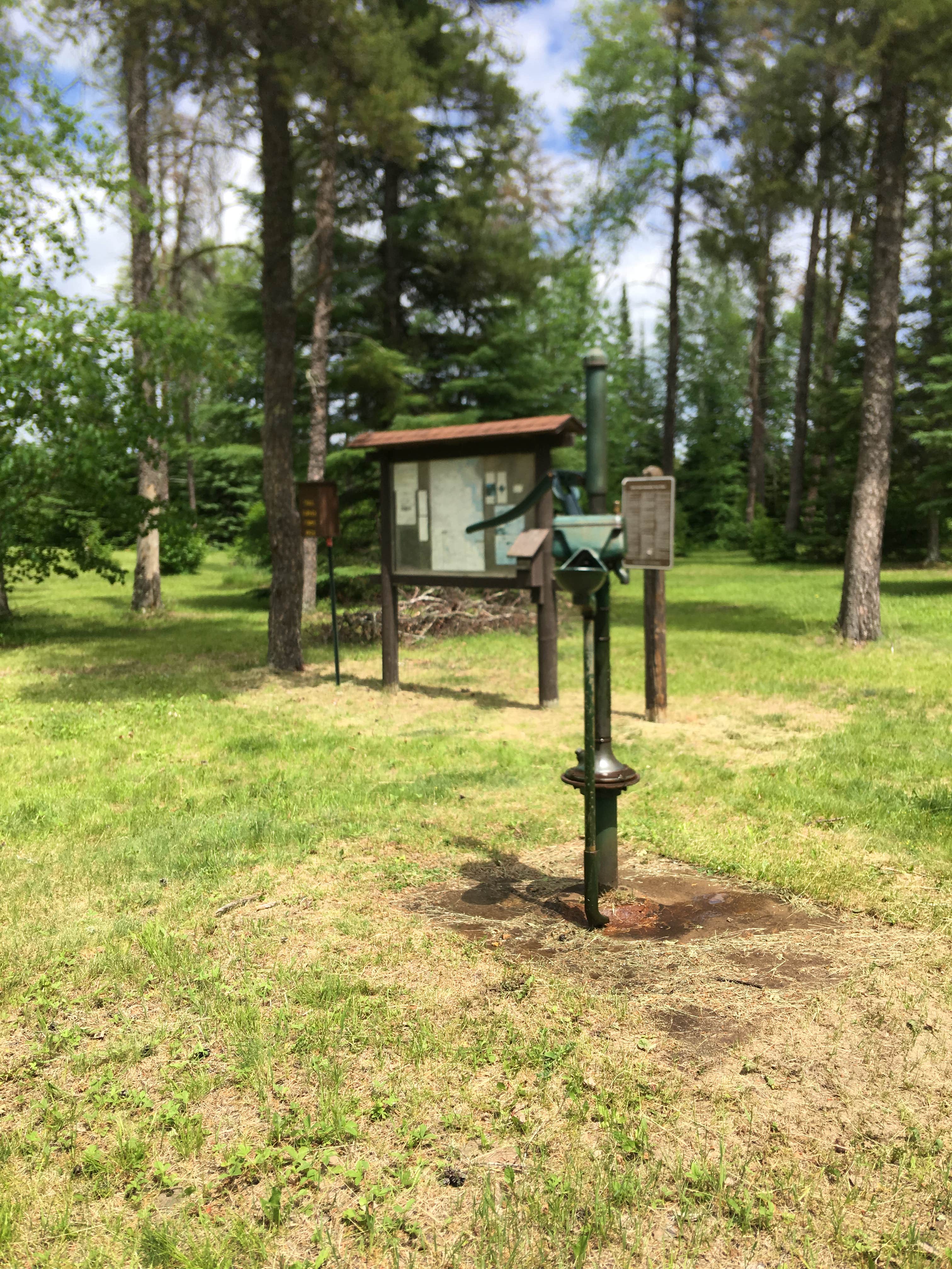 Camper-submitted photo at Faunce - Beltrami Island SF near Roseau, MN