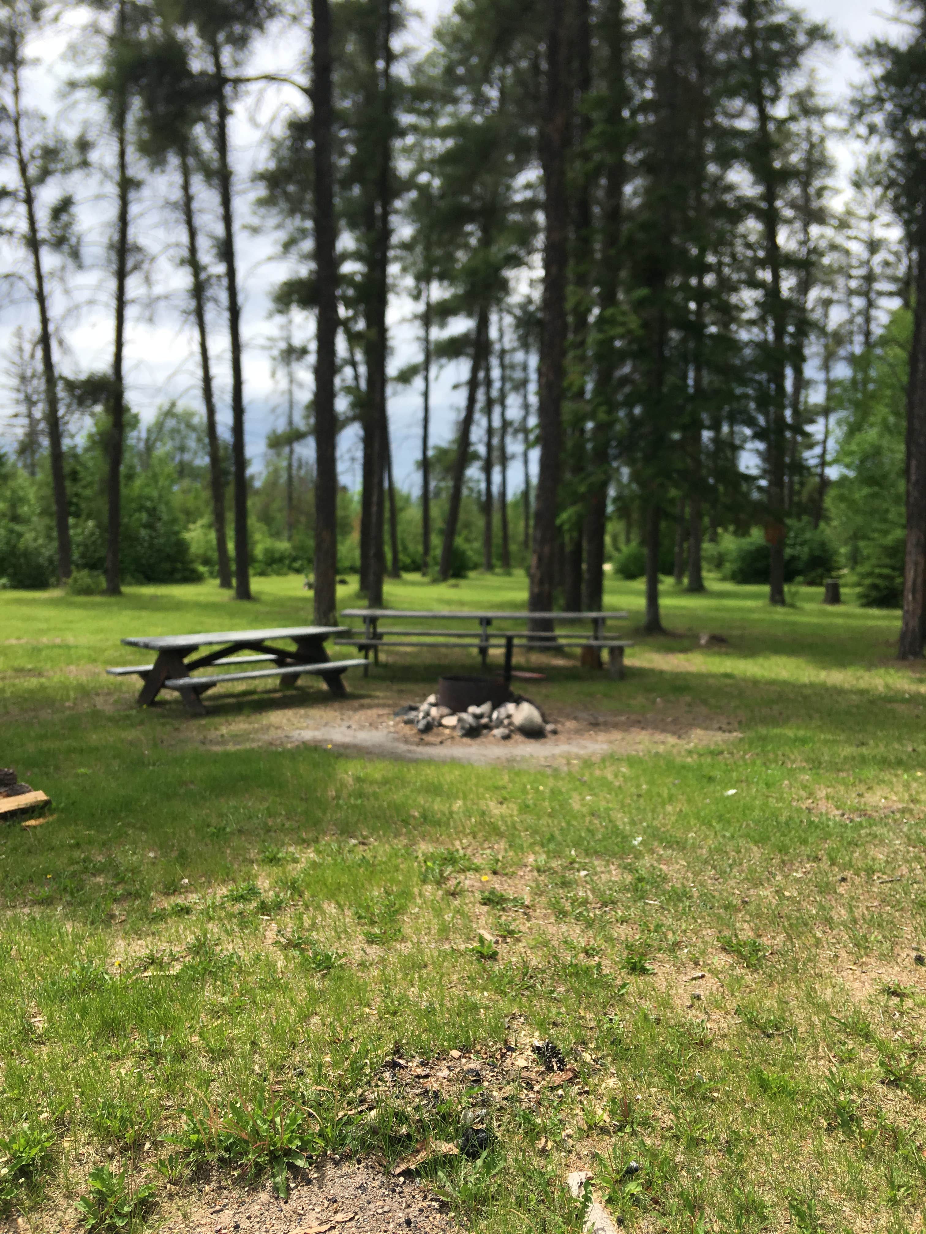 Camper-submitted photo at Faunce - Beltrami Island SF near Roseau, MN