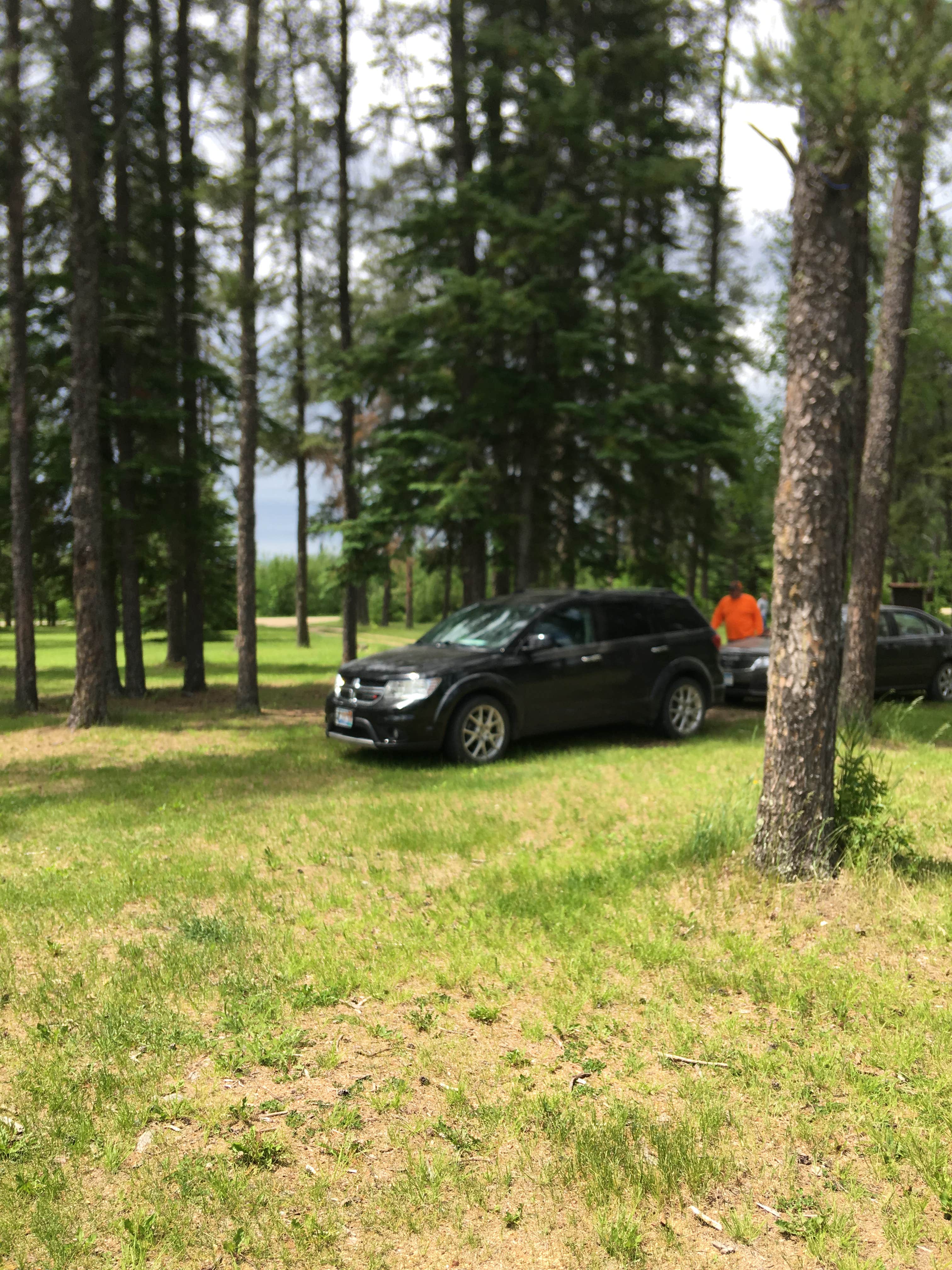 Camper-submitted photo at Faunce - Beltrami Island SF near Roseau, MN