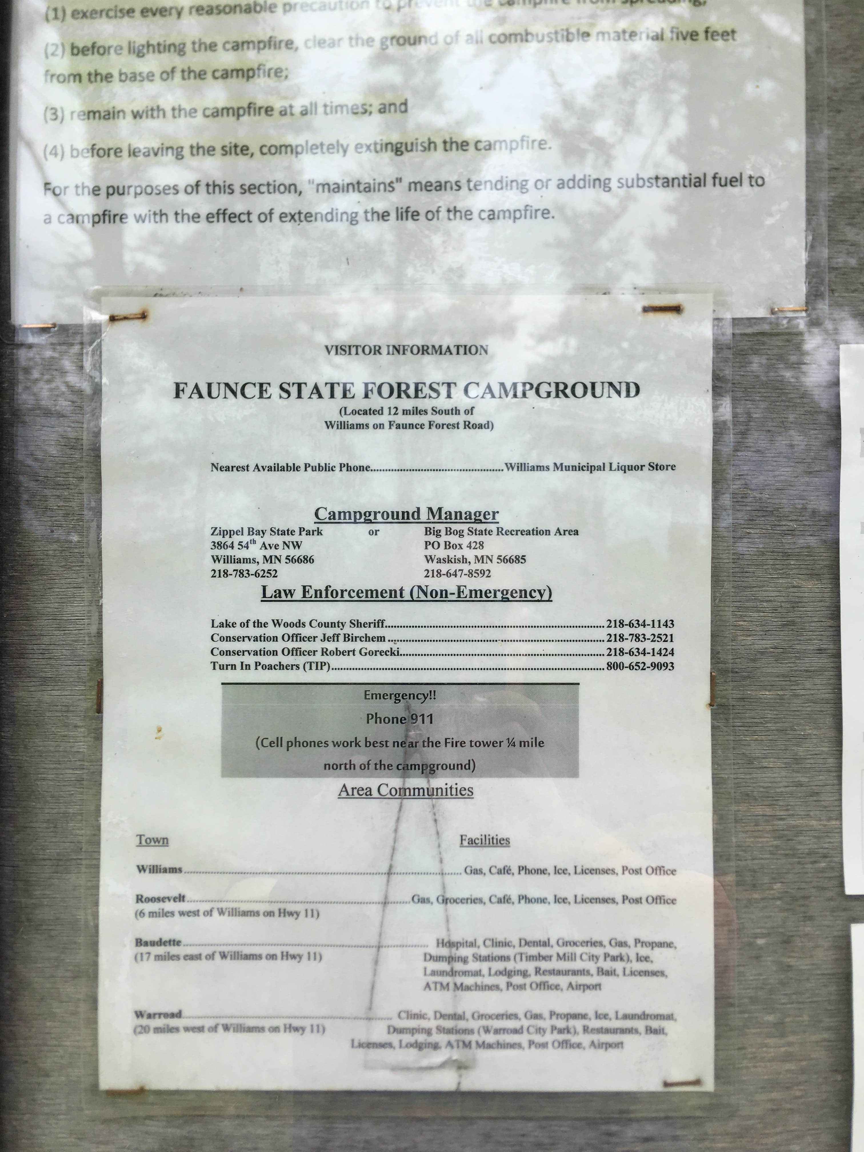 Camping near Roseau City Park: Faunce - Beltrami Island SF, Roseau, Minnesota