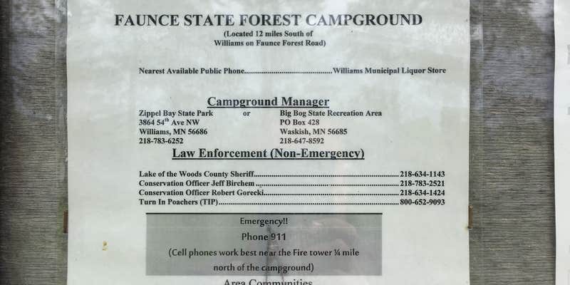 Camper submitted image from Faunce - Beltrami Island SF