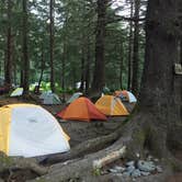 Review photo of Exit Glacier Campground — Kenai Fjords National Park by Carly S., September 3, 2016