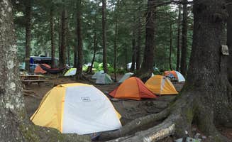 Carly S.'s photo of tent camping at Exit Glacier Campground — Kenai Fjords National Park near Cooper Landing, AK