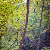 Review photo of Starved Rock Campground — Starved Rock State Park by Meg  S., September 1, 2015