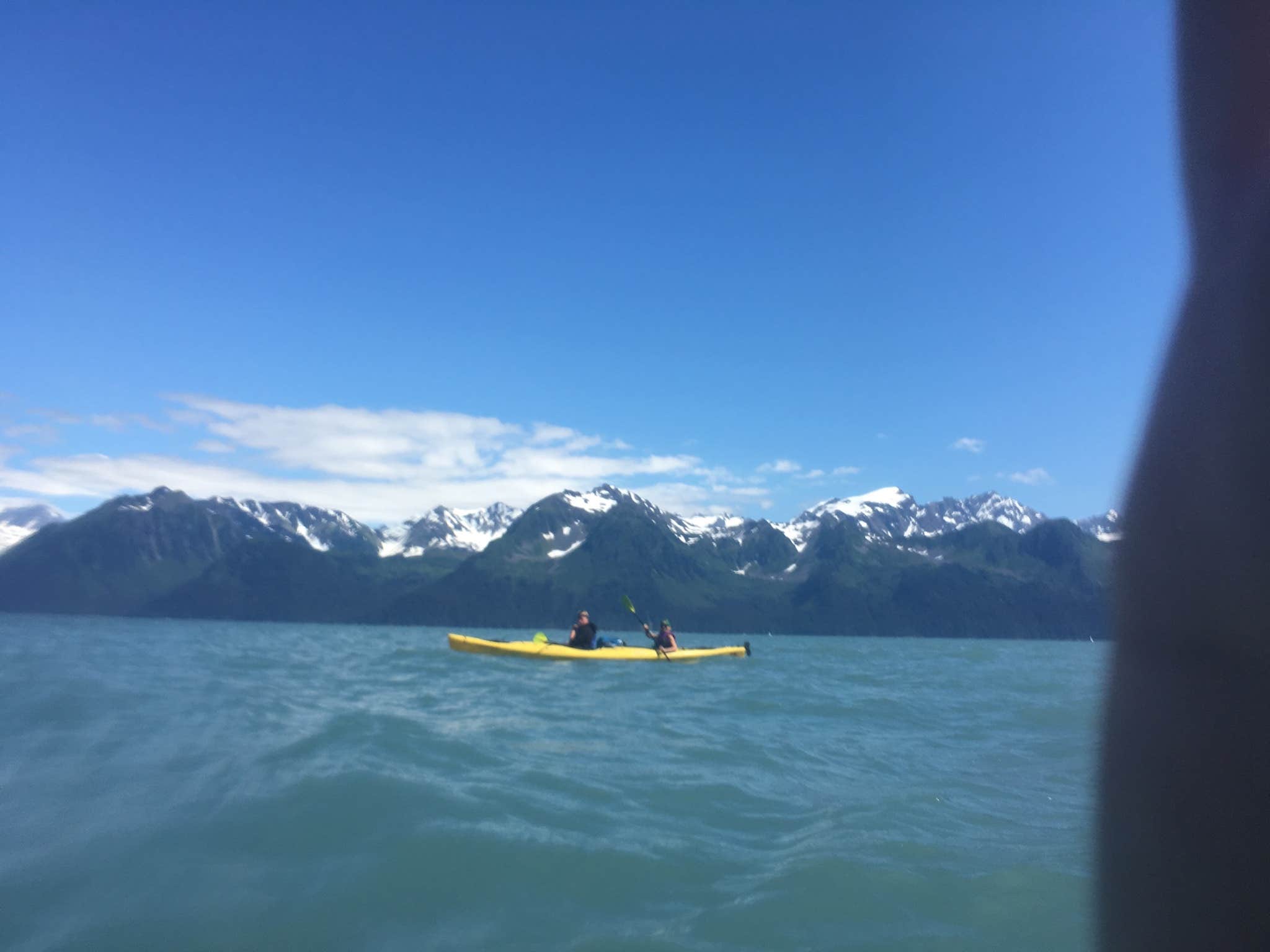 Camper submitted image from Exit Glacier Campground — Kenai Fjords National Park - 4