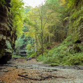 Review photo of Starved Rock Campground — Starved Rock State Park by Meg  S., September 1, 2015
