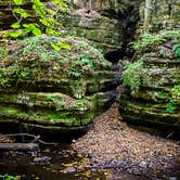 Review photo of Starved Rock Campground — Starved Rock State Park by Meg  S., September 1, 2015