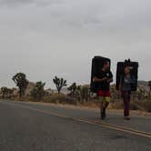 Review photo of Ryan Campground — Joshua Tree National Park by Carly S., September 3, 2016