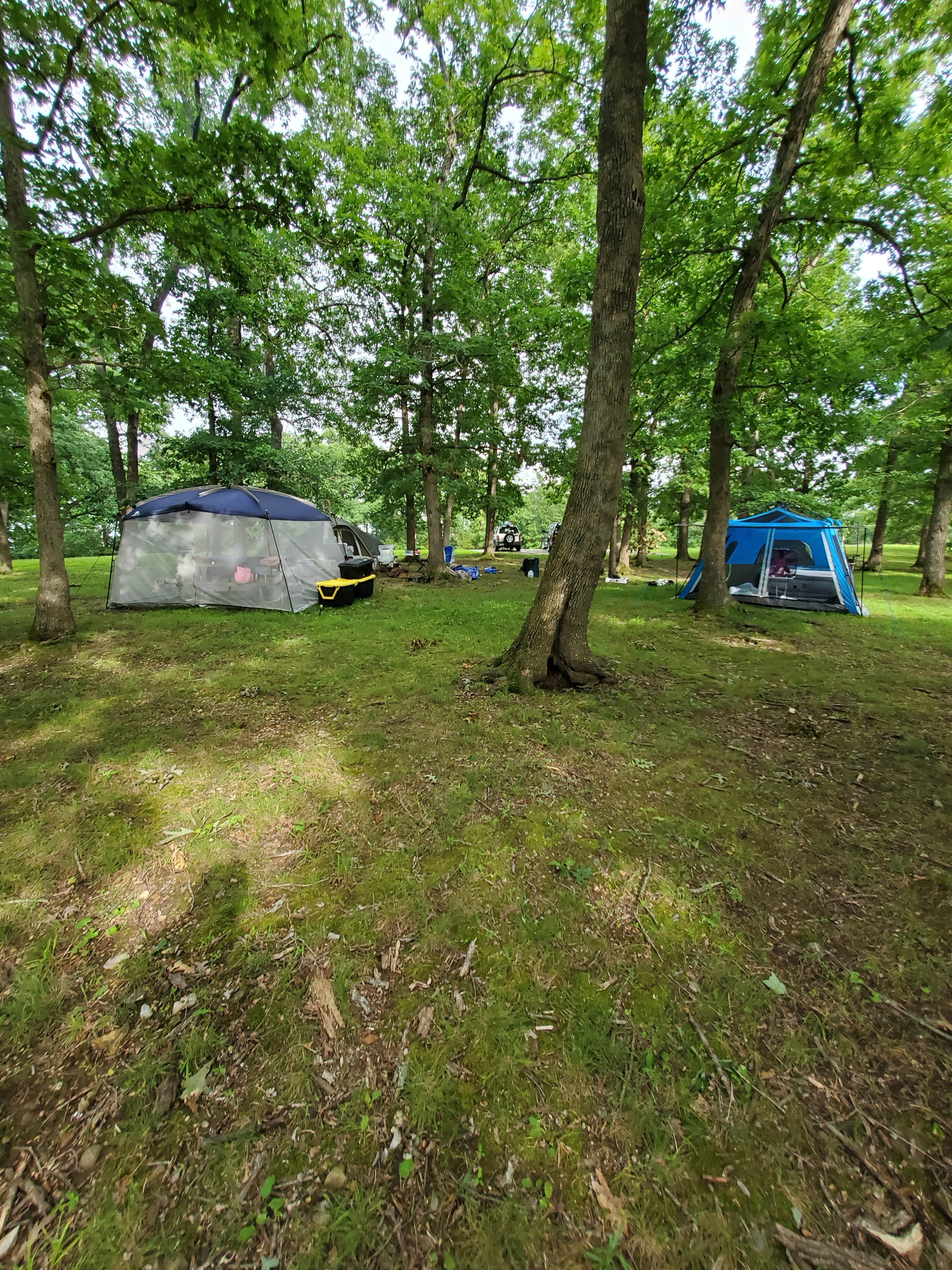 David L.'s photo at Pittsburg Park Campground near Collins, MO