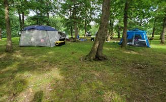 David L.'s photo at Pittsburg Park Campground near Stockton Lake