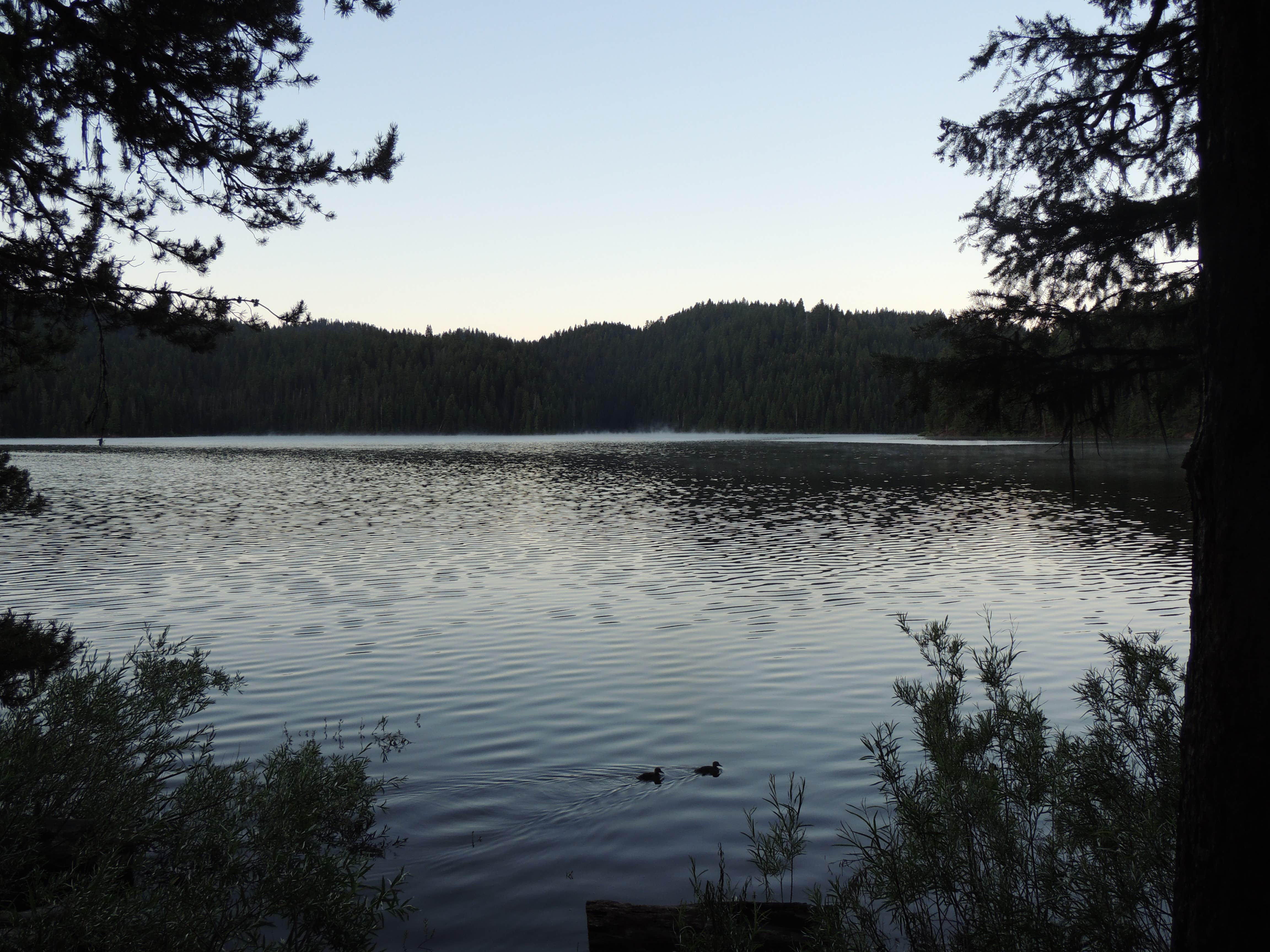Camper submitted image from Sagehen Creek - 3