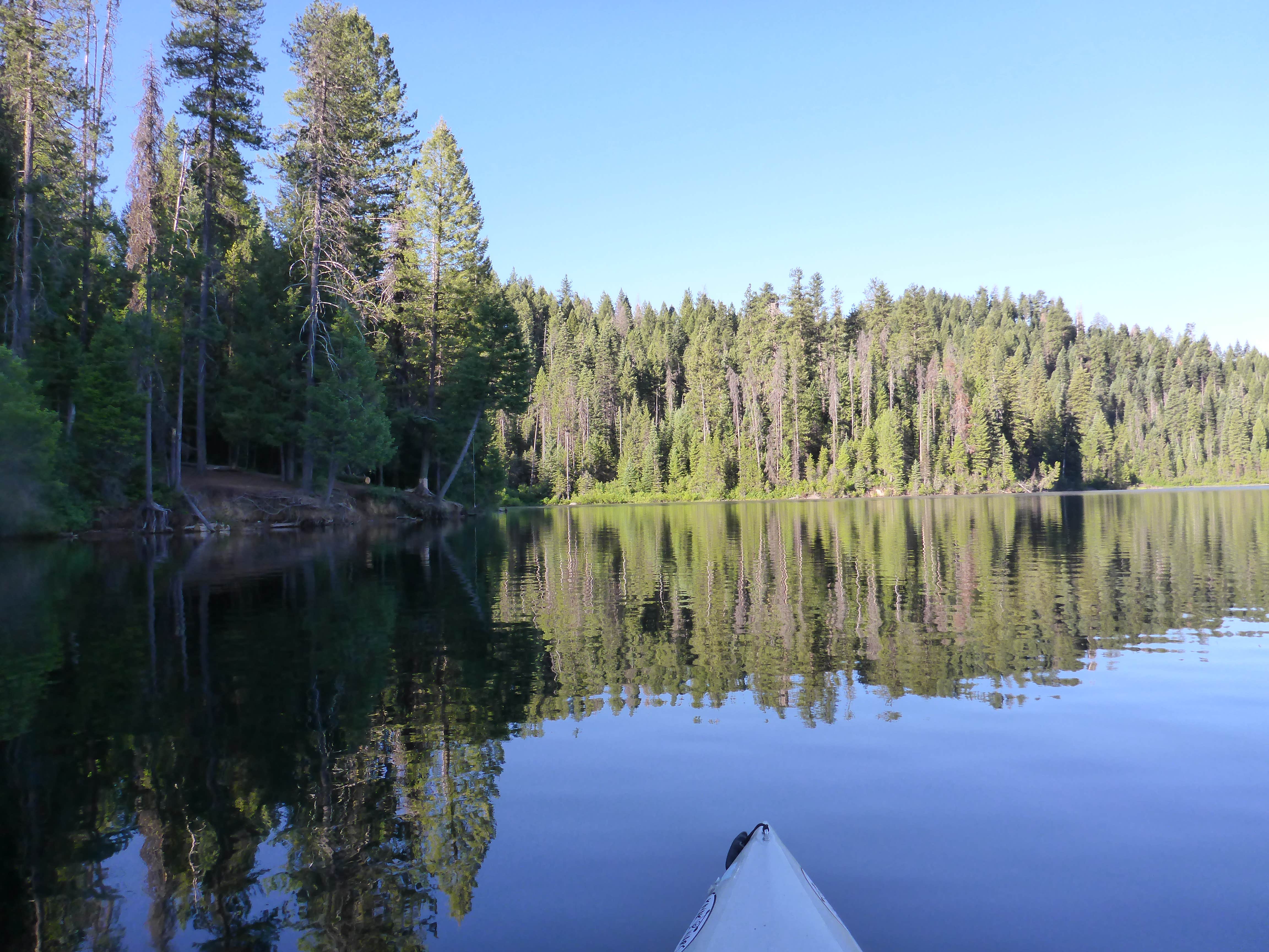 Camper submitted image from Sagehen Creek - 2