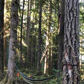 Review photo of Whitcomb Creek County Park by Brad C., June 24, 2019