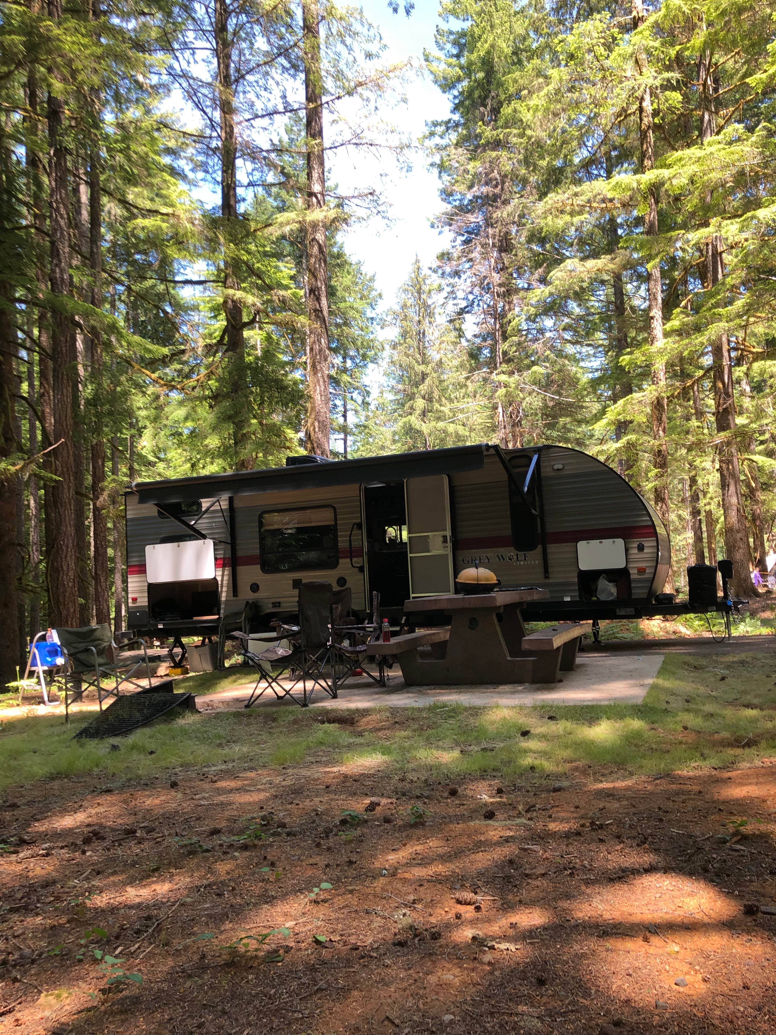 Brad C.'s photo at Whitcomb Creek County Park near Sweet Home, OR