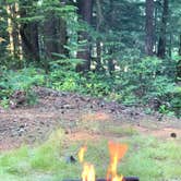 Review photo of Whitcomb Creek County Park by Brad C., June 24, 2019