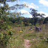 Review photo of Washington State Park Campground by Annie C., September 3, 2016