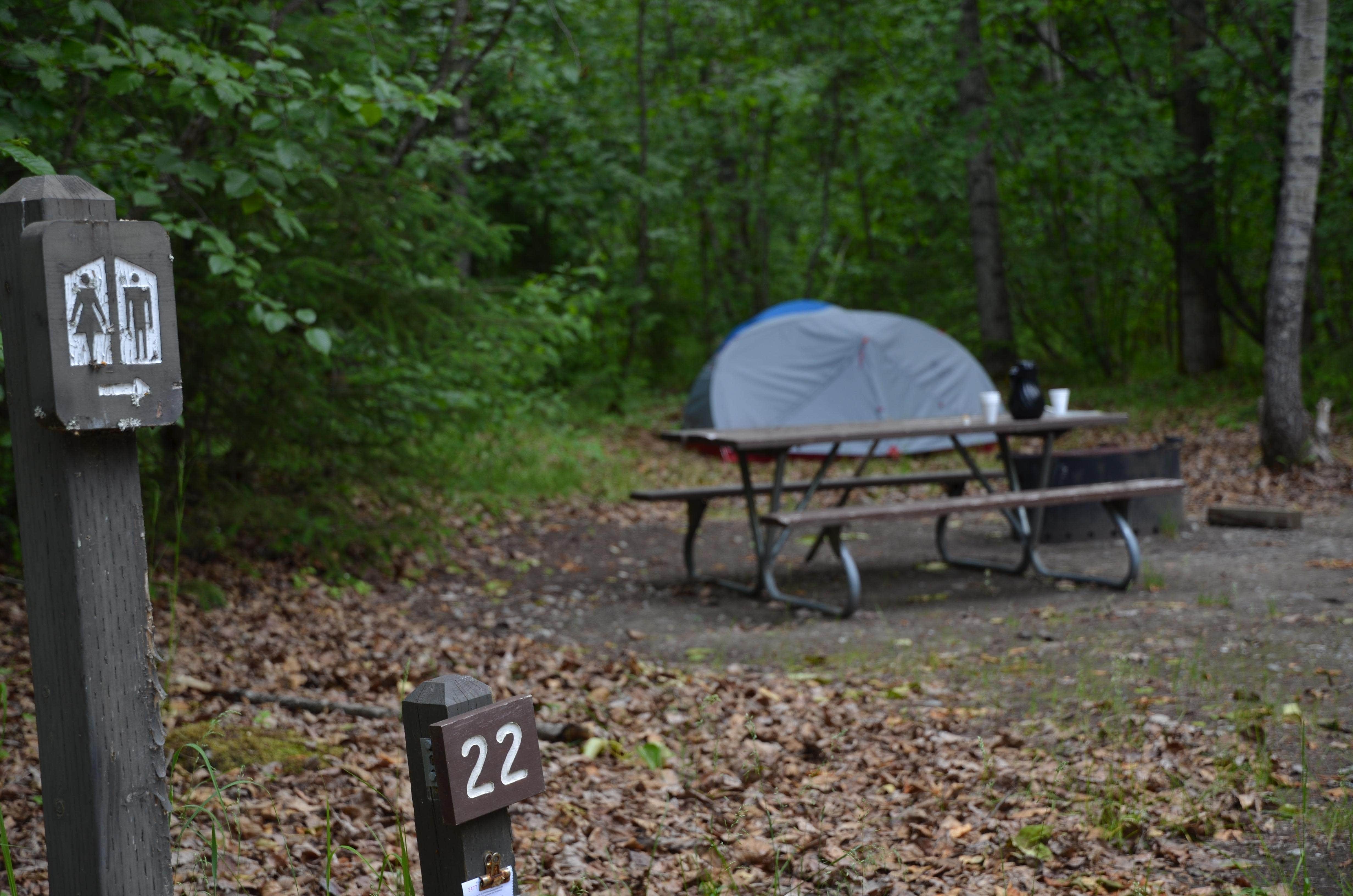 Camper submitted image from Dyea Campground — Klondike Gold Rush National Historical Park - 5
