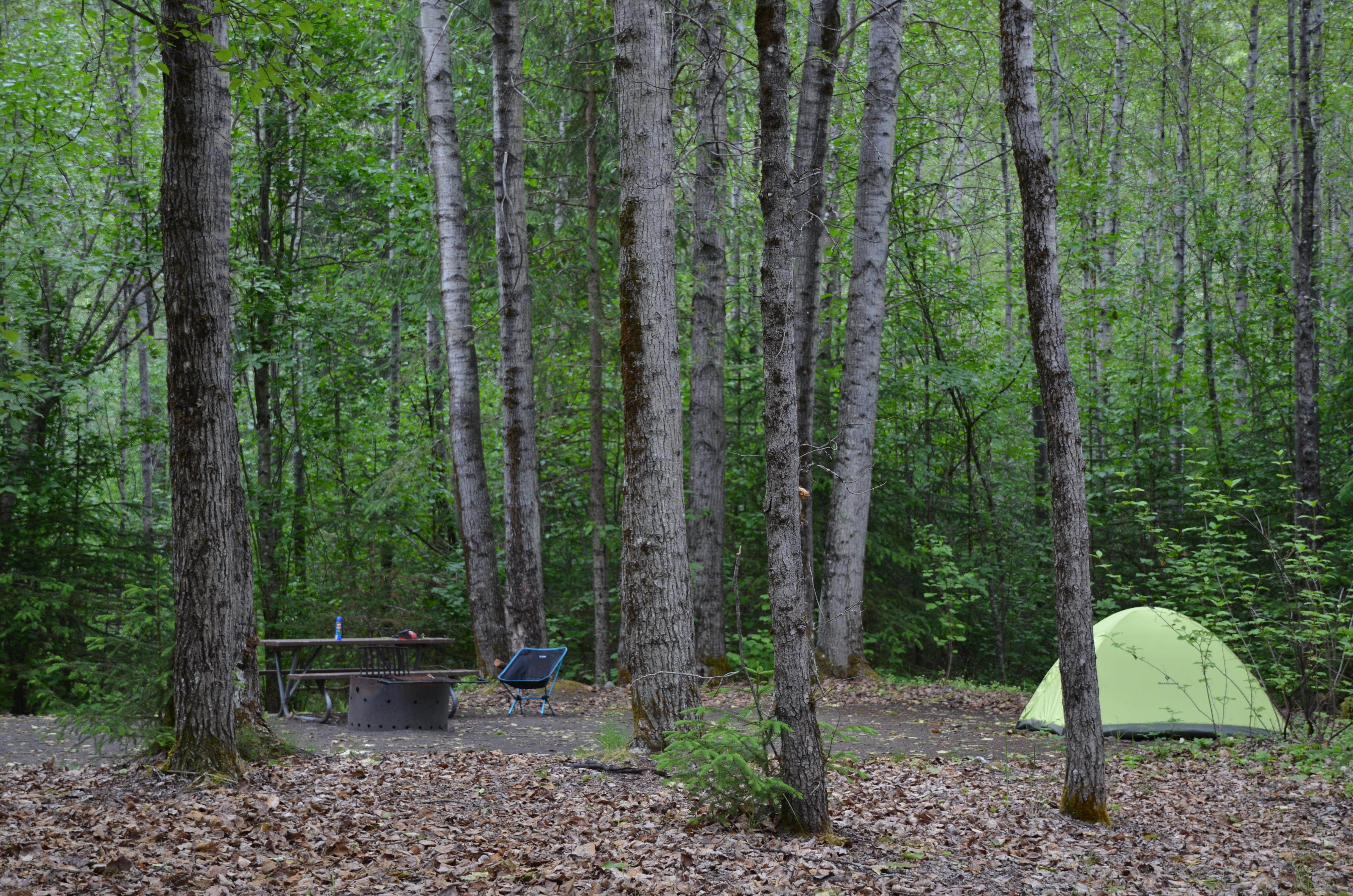 Camper-submitted photo at Dyea Campground — Klondike Gold Rush National Historical Park near Haines State Forest
