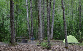The Dyrt's photo at Dyea Campground — Klondike Gold Rush National Historical Park near Haines State Forest