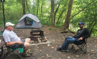 The Dyrt's photo at Brooklyn Campground — New River Gorge National Park and Preserve near Danese, WV