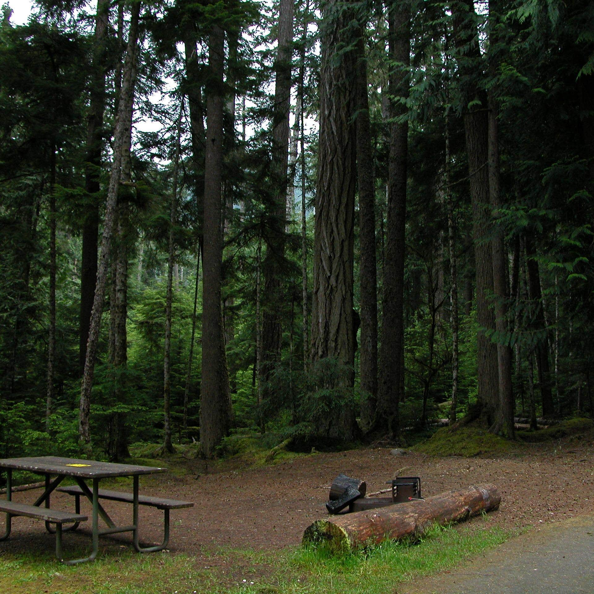 Heart O' the Hills Campground — Olympic National Park