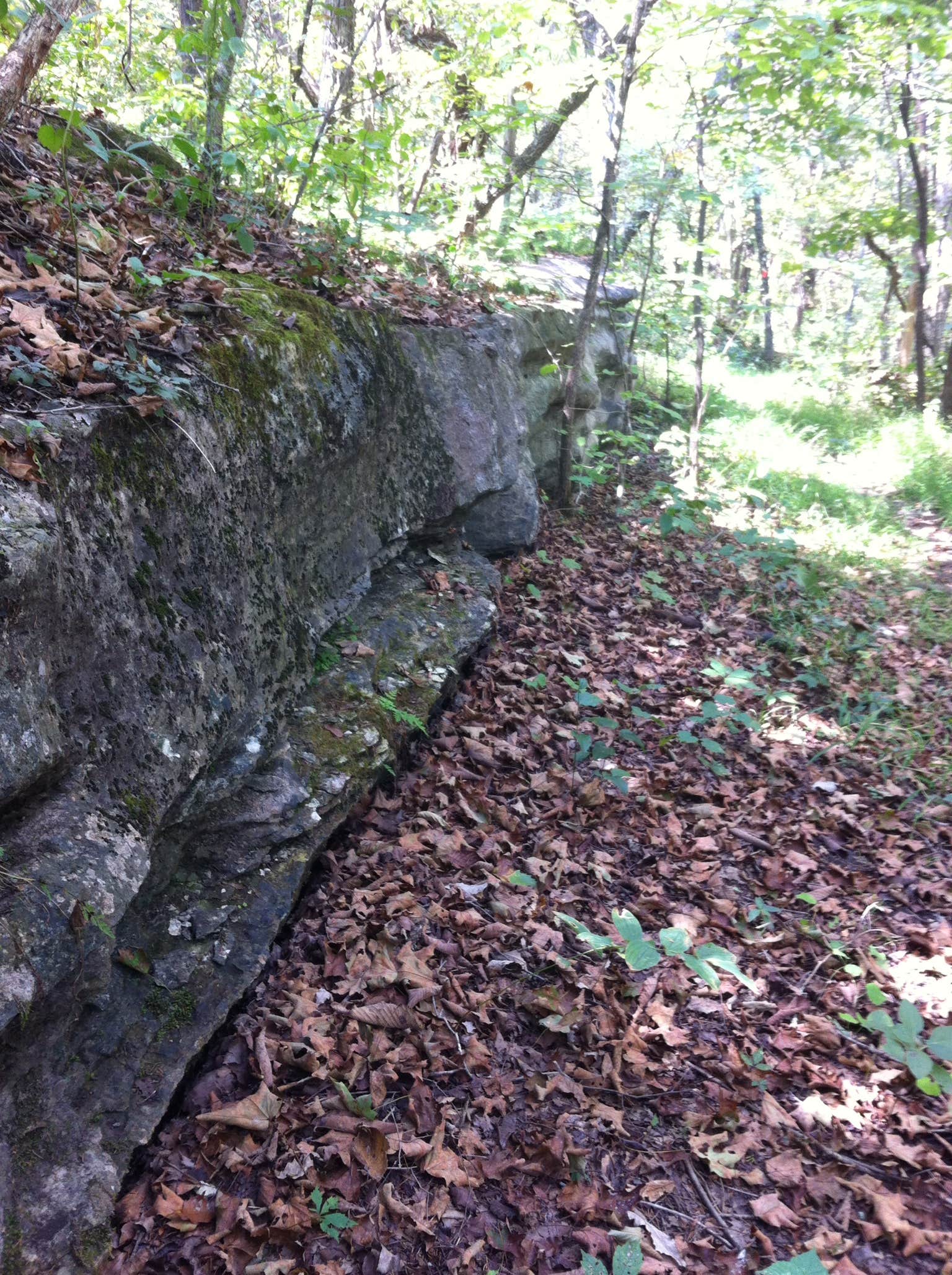 Camper-submitted photo at Washington State Park Campground near Arnold, MO