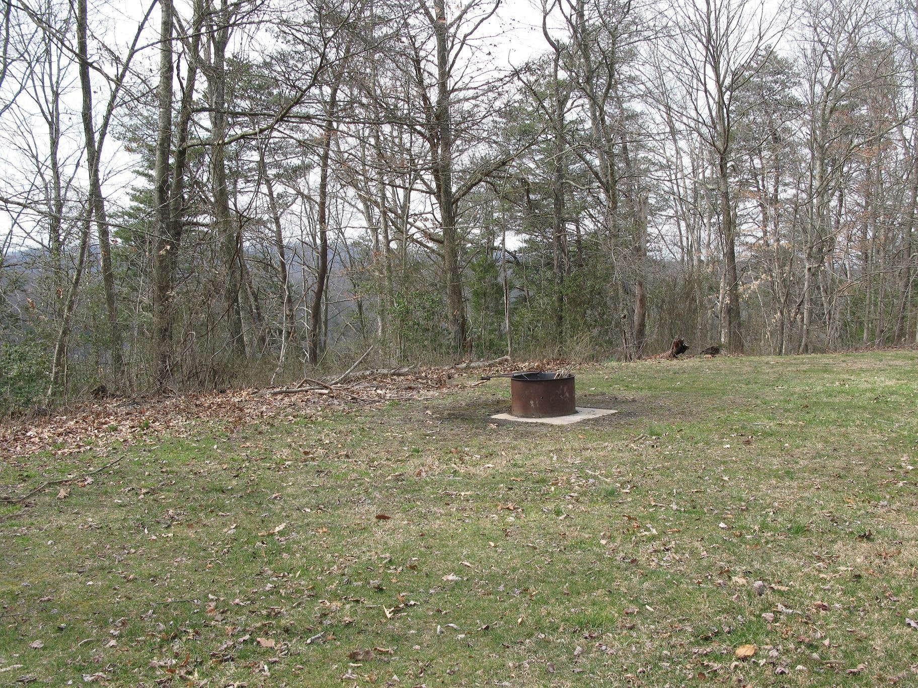 Camper submitted image from Burnwood - Group — New River Gorge National Park and Preserve - 1