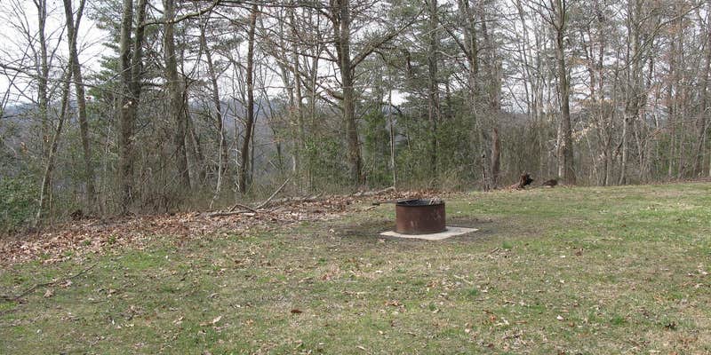 Camper submitted image from Burnwood - Group — New River Gorge National Park and Preserve