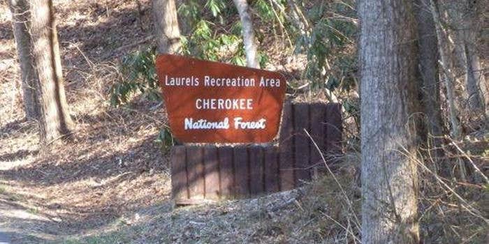 Camper submitted image from The Laurels Picnic Area Pavilions