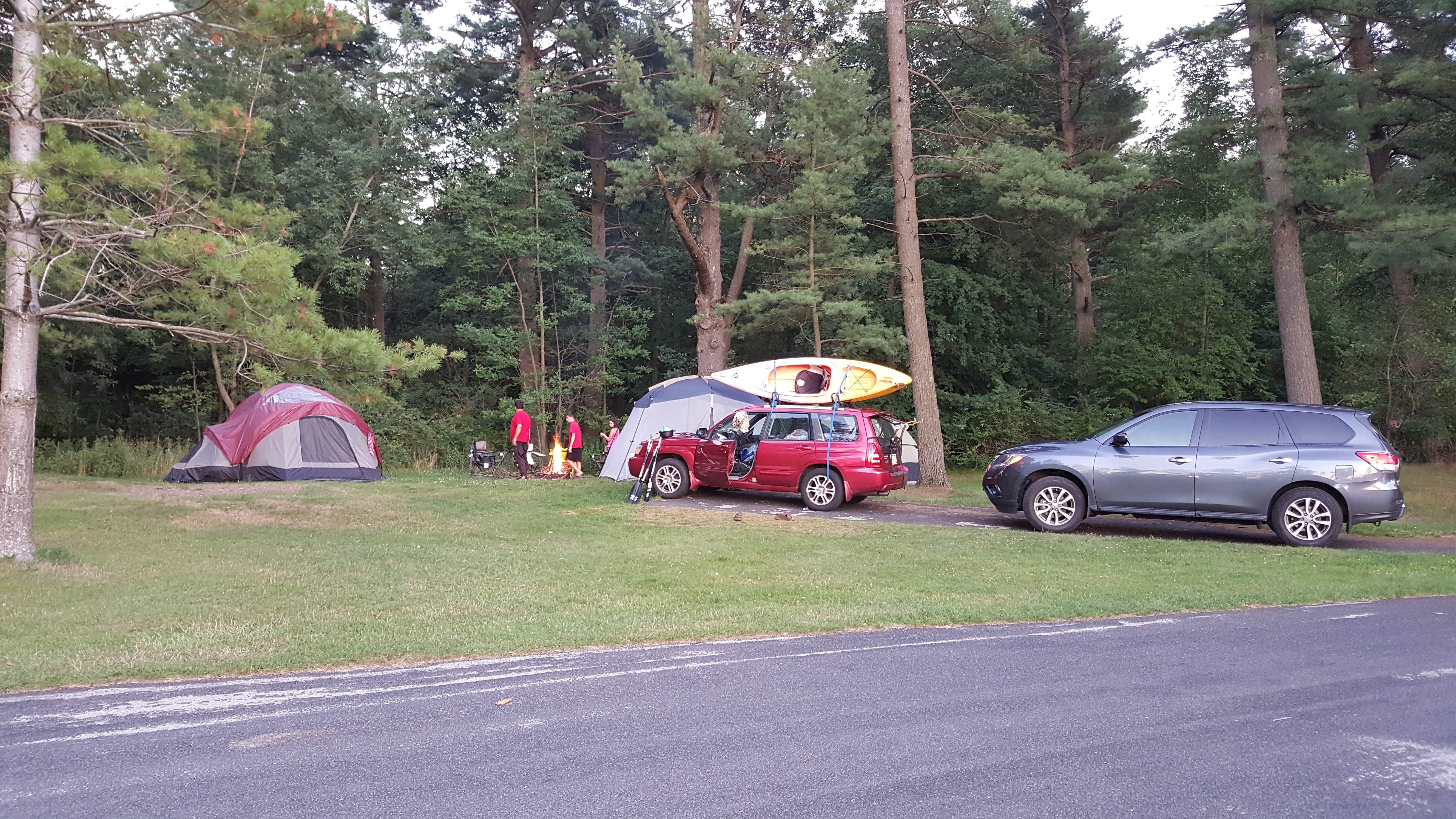 Camper submitted image from Kohler-Andrae State Park - 3