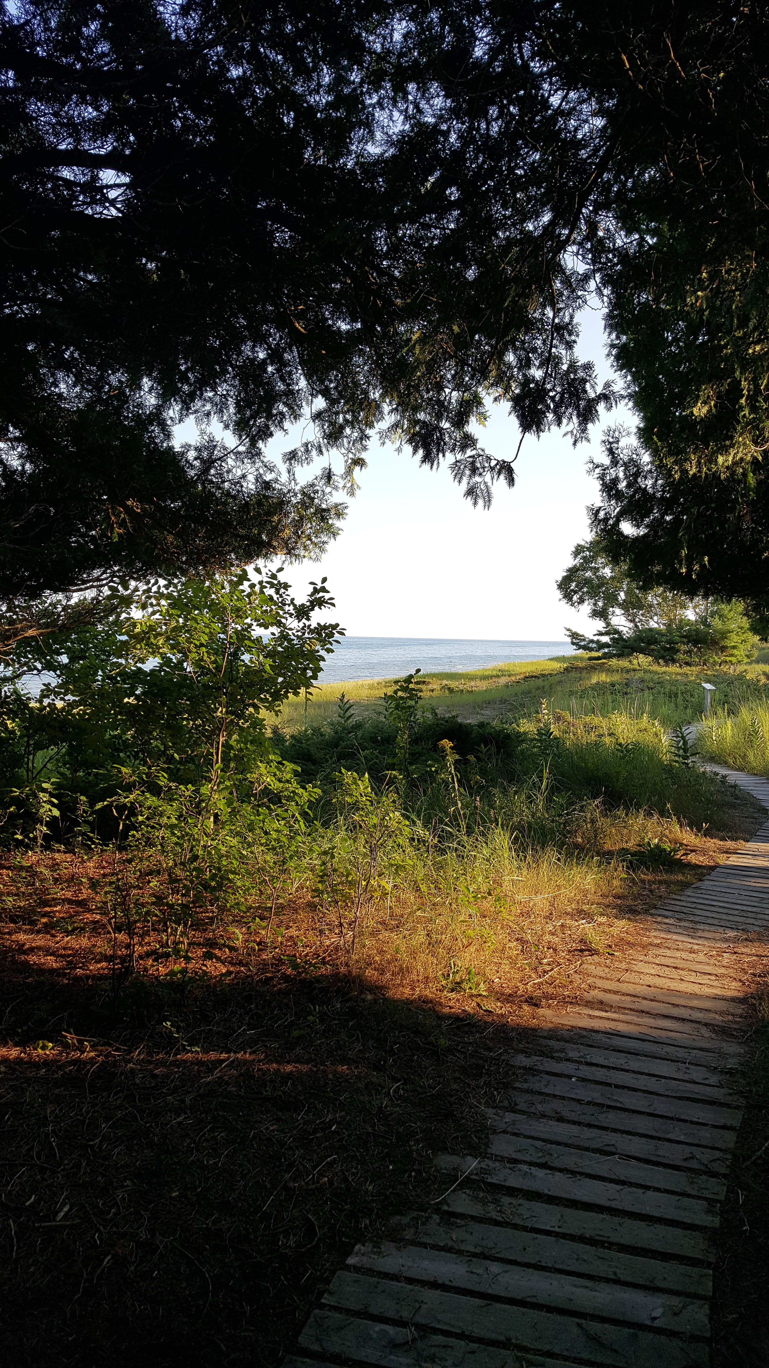 Camper submitted image from Kohler-Andrae State Park - 4