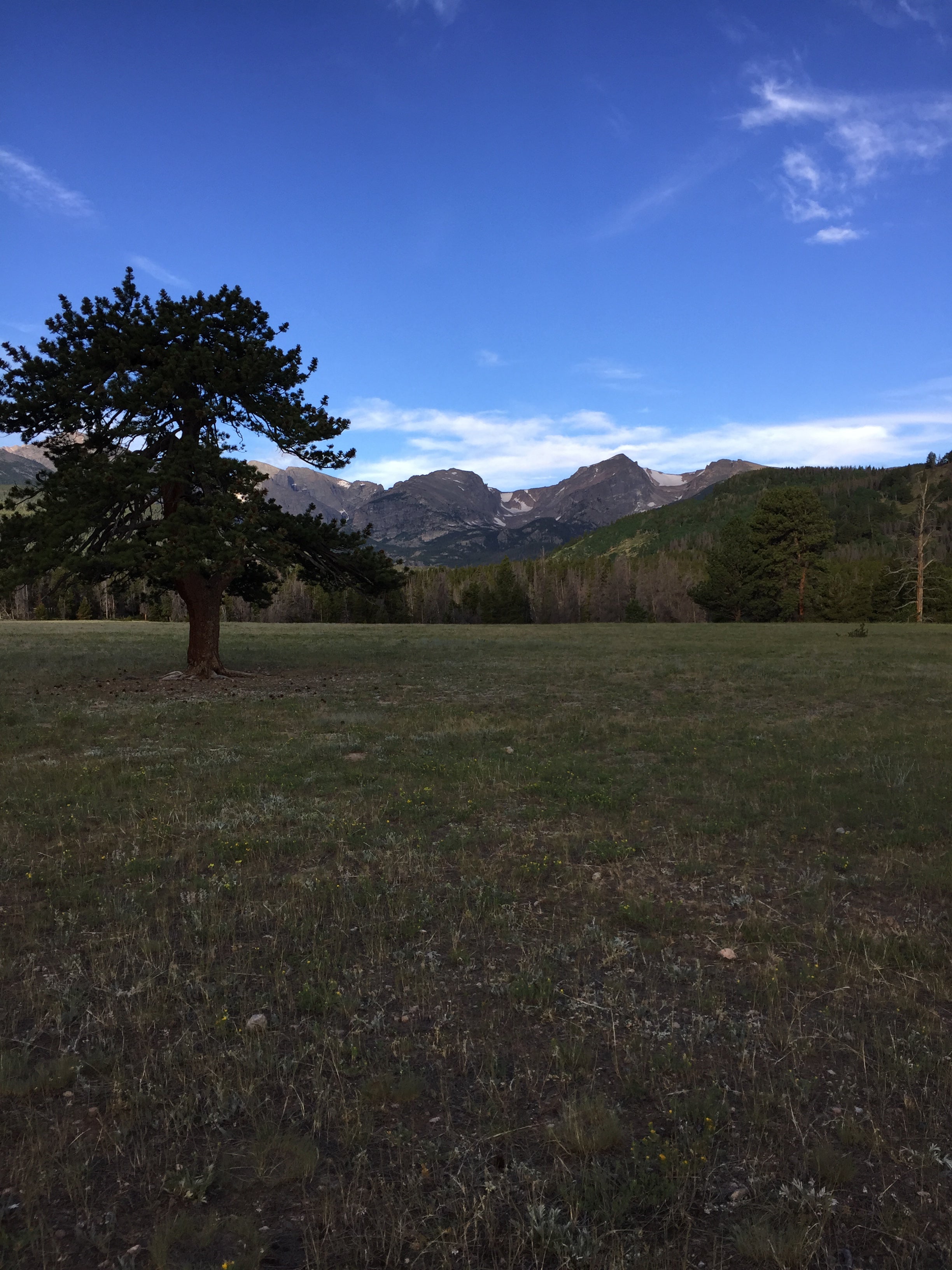 Camper submitted image from Glacier Basin Campground — Rocky Mountain National Park - 3