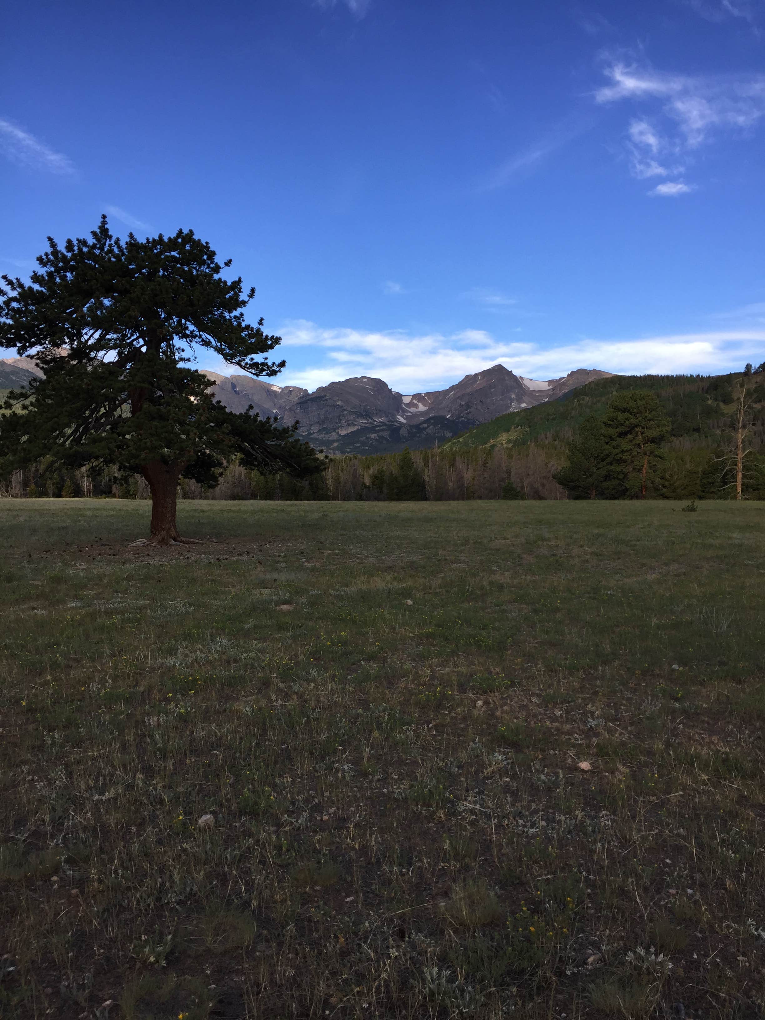 Glacier Basin Campground Rocky Mountain National Park Estes park CO