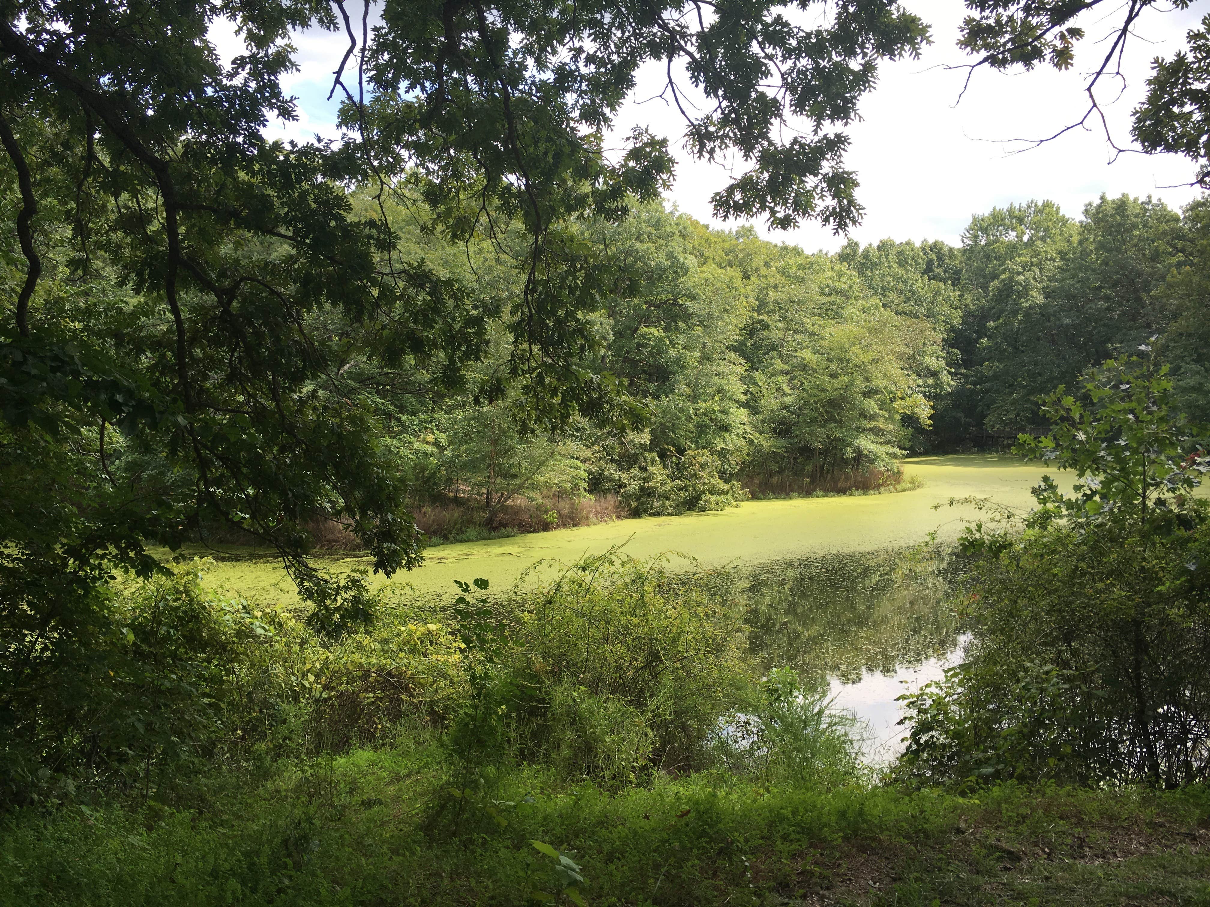 Camper-submitted photo at Pershing State Park Campground near Sumner, MO